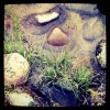 The rocks of the Madison River