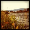 The house is just steps from the Madison River